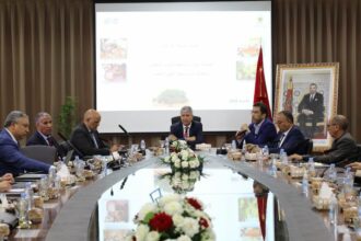 Filière de l'arganier : de nouveaux objectifs de développement à horizon 2030