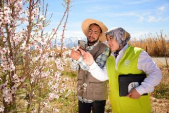 OCP lance T@swiq, une plateforme de commercialisation des produits agricoles