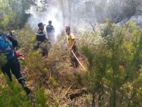 Les feux de forêt d'Al Hoceima et Chefchaouen quasiment circonscrits