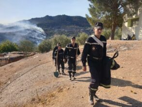 Feux de forêts : En direct. La situation dans les cinq provinces touchées vendredi 15 juillet 2022