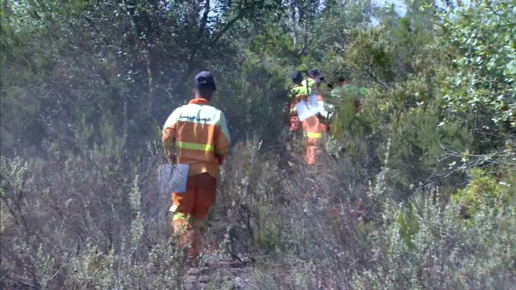 Feux de forêts : En direct. La situation dans les cinq provinces touchées vendredi 15 juillet 2022