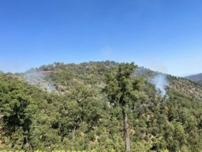 Feux de forêts. En direct, la situation le samedi 16 juillet 2022