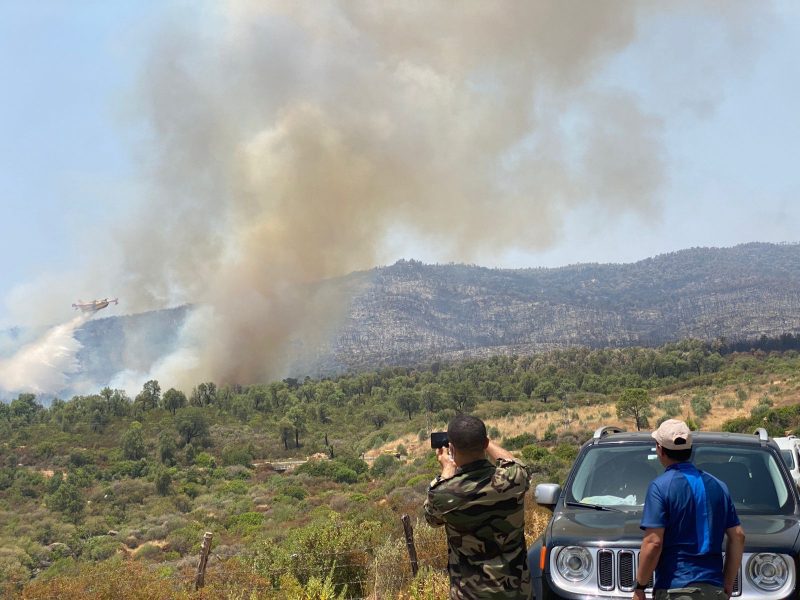Feux de forêt. Les efforts se poursuivent ce 17 juillet pour stopper l'avancée des feux
