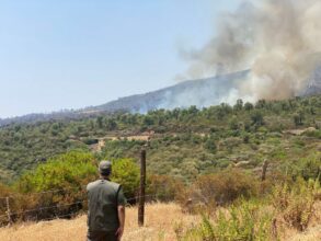 Tétouan : l’incendie de la forêt de Bni Ider a été maîtrisé