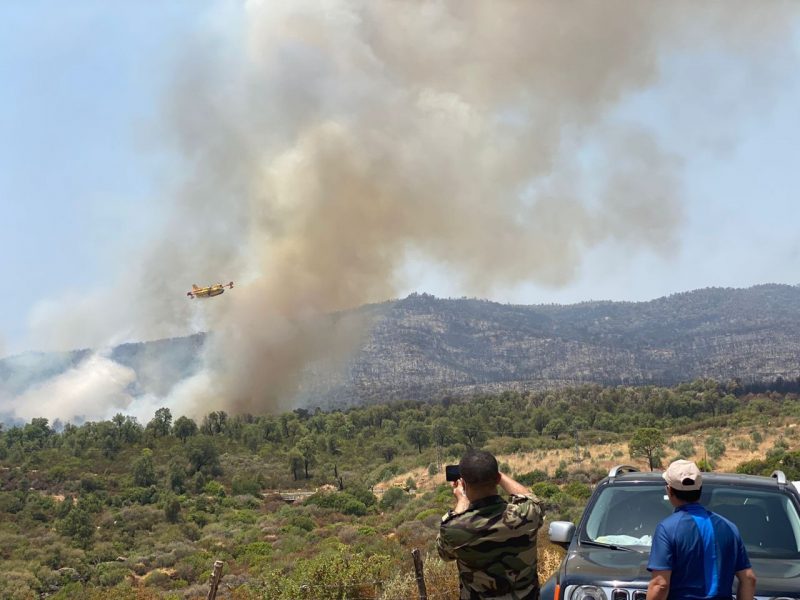 Feux de forêt. Les efforts se poursuivent ce 17 juillet pour stopper l'avancée des feux