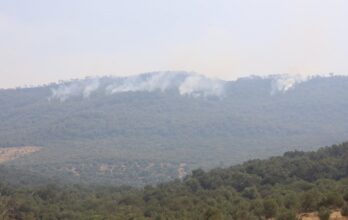 Trois incendies définitivement maîtrisés à Taza, Larache et Ouezzane