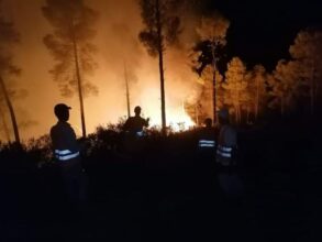 Les efforts se poursuivent pour maîtriser les feux de forêt à Larache, Taounate et Tétouan