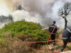 Les opérations se poursuivent pour maîtriser les feux de forêt à Larache et Taounate