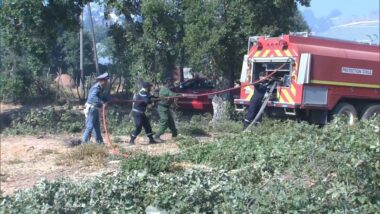 En direct. Feux de forêt : la situation dans les provinces de Larache et Tétouan