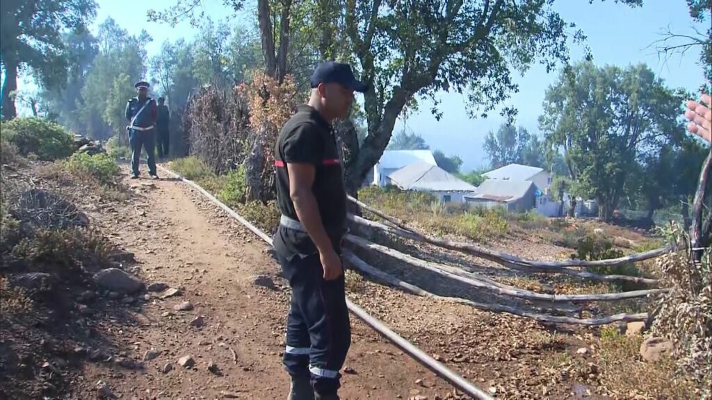 En direct. Feux de forêt : la situation dans les provinces de Larache et Tétouan En direct. Feux de forêt : la situation dans les provinces de Larache et Tétouan