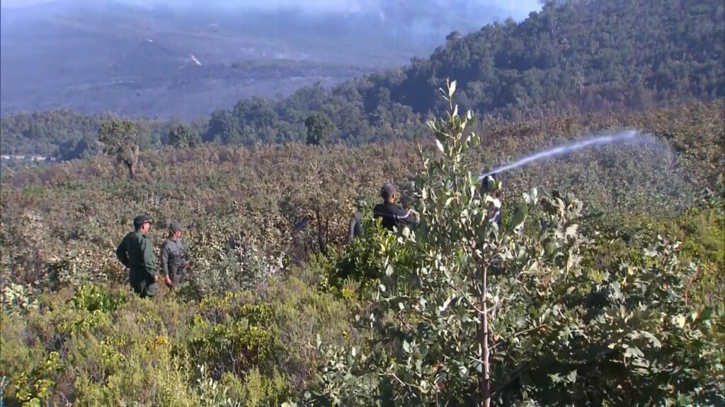 En direct. Feux de forêt : la situation dans les provinces de Larache et Tétouan En direct. Feux de forêt : la situation dans les provinces de Larache et Tétouan