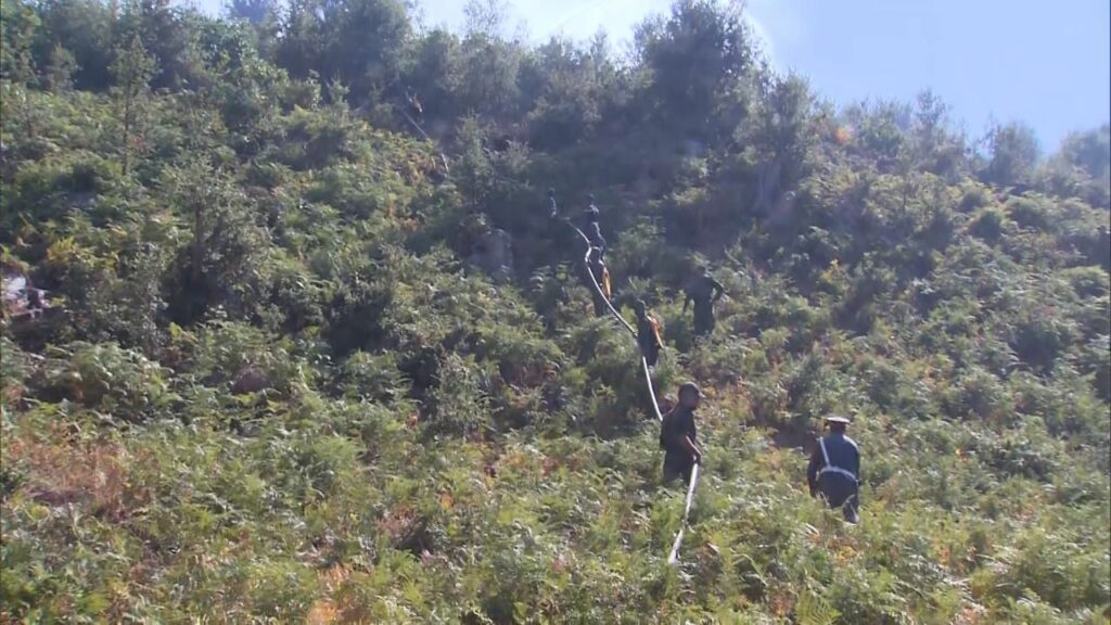En direct. Feux de forêt : la situation dans les provinces de Larache et Tétouan En direct. Feux de forêt : la situation dans les provinces de Larache et Tétouan