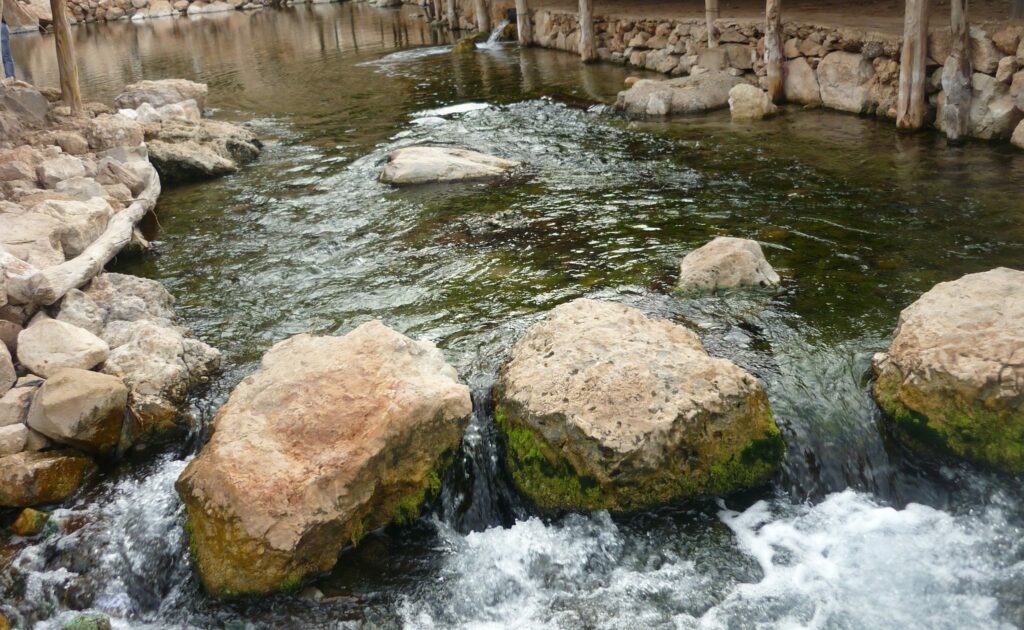 80.000 truites arc-en-ciel implantées dans les eaux de l'Oum Er-Rbia