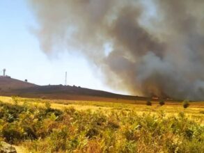 Quatre feux de forêt sont en cours à Ifrane, Taounate, Al Hoceima et Chefchaouen
