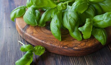 Herbes aromatiques : acquisition par Africulture de la société Aromafresh