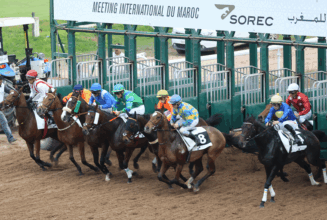 Nouvel hippodrome d’El Jadida : le lot 5 attribué à CEMATEC