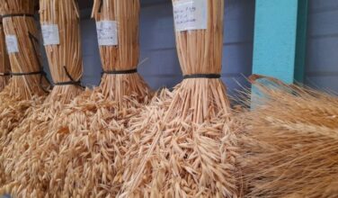 Le gouvernement va simplifier l'exonération de la TVA à l'importation de matériel agricole