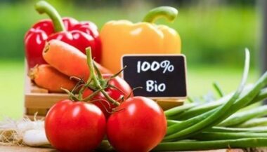 Agriculture biologique : “Un contrat-programme 2023-2030 dans le pipe” (Slim Kabbaj)