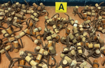 Deux Subsahariens arrêtés à Oujda pour préparation d’une escalade de la clôture séparant Nador et Melilia