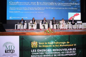 Bientôt deux écosystèmes industriels de démantèlement des avions et des navires à Guelmim Oued-Noun