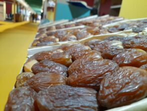 Sidattes. Le palmier dattier, opportunité ou fardeau ?