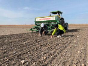 Semis direct : Al Moutmir cible plus de 25.000 ha pour la campagne agricole 2022-2023