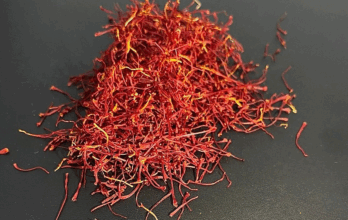 REPORTAGE. A Taliouine, le réchauffement climatique menace le safran