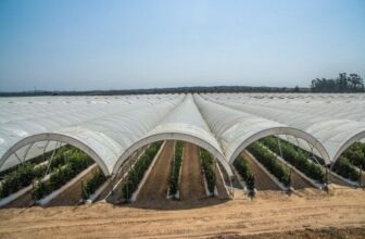 Joint-venture entre Sicda et l’israélienne Ginegar Plastics Products