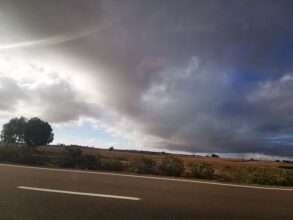 Campagne céréalière 2022-2023. Les pluies sont fébrilement attendues