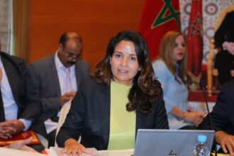 Autoproduction électrique : la Chambre des Conseillers approuve deux projets de lois