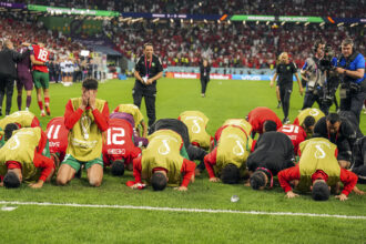 &ldquo;Meilleure photo 2022&rdquo; : le coup de cœur d’Erdogan pour un cliché des Lions de l’Atlas