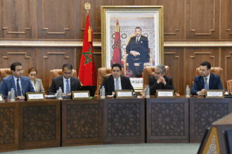 Nouveau modèle dédié aux MRE : les comités thématiques livrent leurs premières propositions