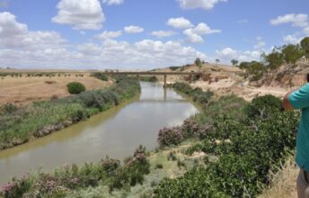Rapport : les recommandations pour sauver l’Oum Er-Rabia d’une catastrophe écologique