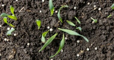 Le Maroc en pourparlers pour créer une usine de blending d’engrais en Tanzanie