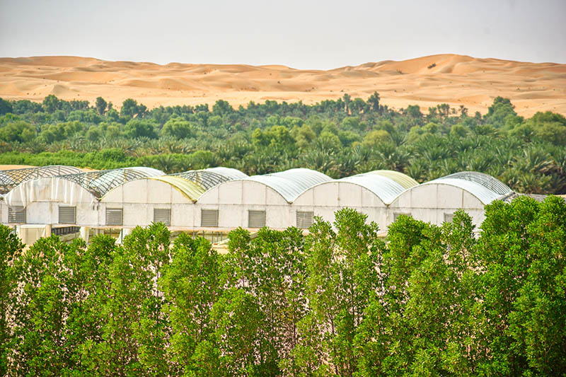 Agriculture régénérative : Sand to Green annonce une levée de plus de 10 millions de DH