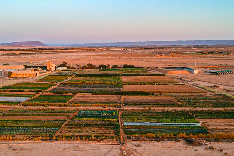 Agriculture régénérative : Sand to Green annonce une levée de plus de 10 millions de DH