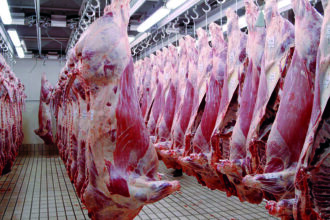 Les mesures prises pour faire baisser les prix de la viande bovine seront appliquées aux ovins