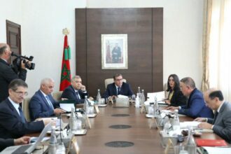 RSU et RNP : Akhannouch fait le point