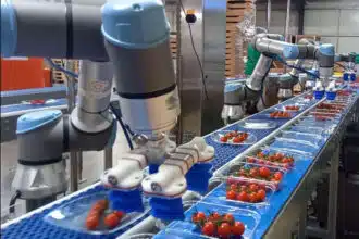 Eyepick : la startup qui apprend aux robots à dupliquer les tâches manuelles grâce à l'IA