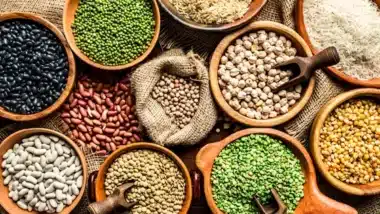 Les subventions semencières à la rescousse des légumineuses marocaines