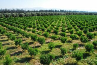 Comprendre les phytosanitaires, les utiliser, s’en protéger (1/2)