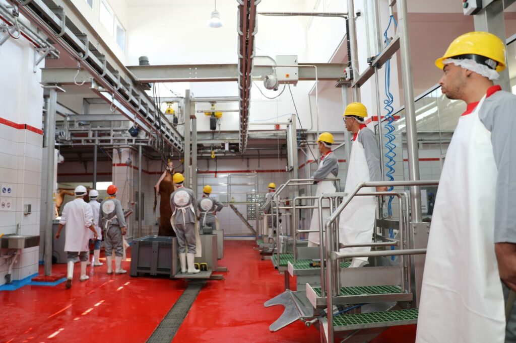 Un nouvel abattoir de viandes rouges à Berkane Un nouvel abattoir de viandes rouges à Berkane
