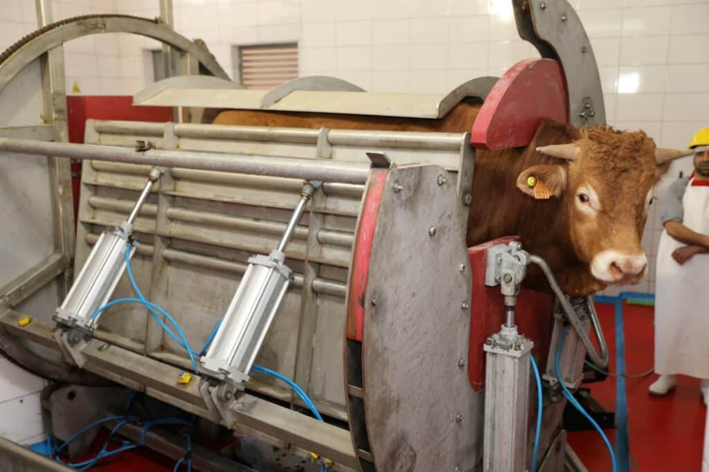 Un nouvel abattoir de viandes rouges à Berkane Un nouvel abattoir de viandes rouges à Berkane