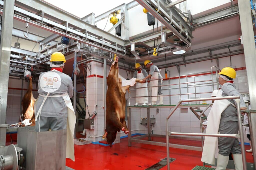 Un nouvel abattoir de viandes rouges à Berkane Un nouvel abattoir de viandes rouges à Berkane