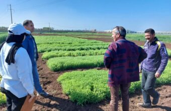 Légumineuses. Comment raviver les sols et l’espoir des agriculteurs