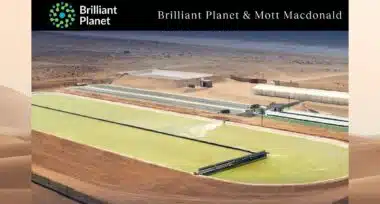 Brilliant Planet va construire une installation d’élimination de CO2 au Maroc
