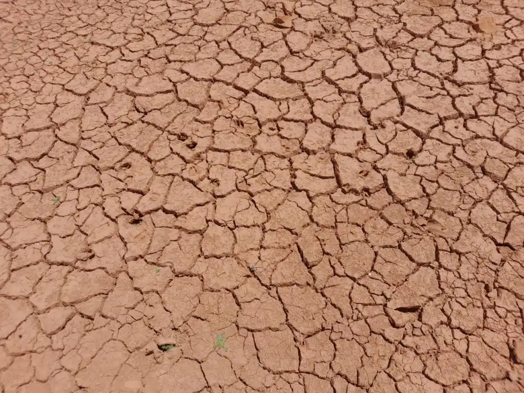 Le secteur bancaire, vulnérable aux risques climatiques (BAM et BM)
