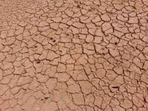 Le secteur bancaire, vulnérable aux risques climatiques (BAM et BM)