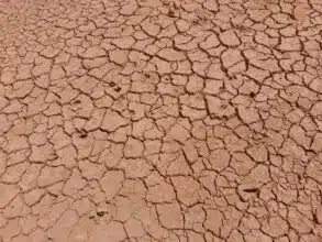 Reportage. À 30 km de Settat, sur les berges asséchées du 2e plus grand barrage du Maroc