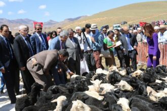 Plus d’un milliard de DH pour le développement agricole de Ouarzazate